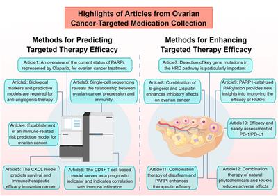 Editorial: Ovarian cancer-targeted medication: PARP inhibitors, anti-angiogenic drugs, immunotherapy, and more